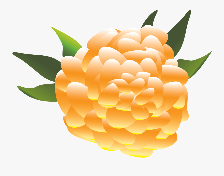 Mexican Flower Clipart Transparent, Transparent Clipart