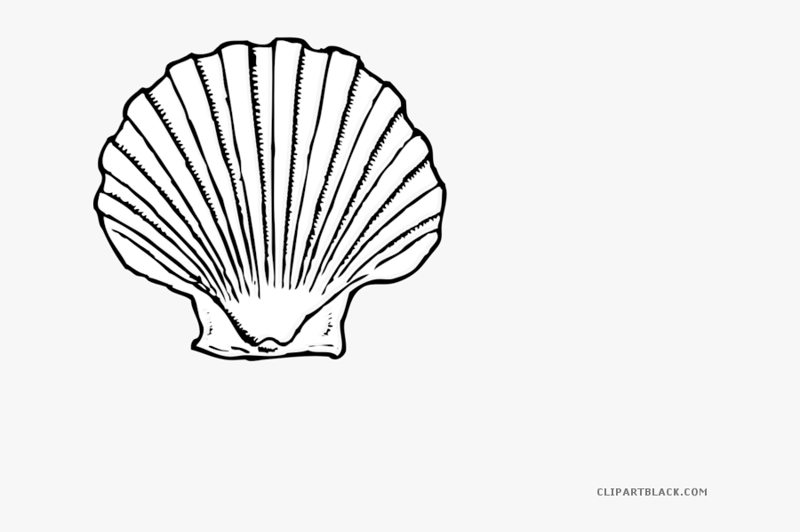Black And White Seashell Animal Free Black White Clipart - Shell Clipart, Transparent Clipart