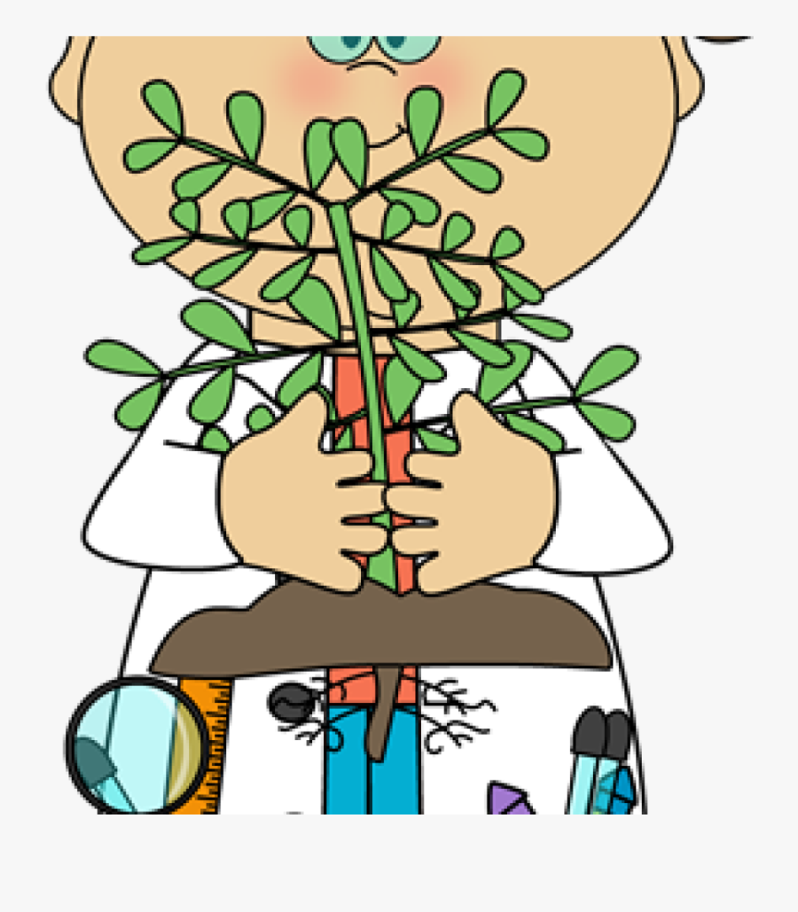 Science Clip Art Free Science Clip Art Science Images - Metabólitos Secundários Das Plantas, Transparent Clipart