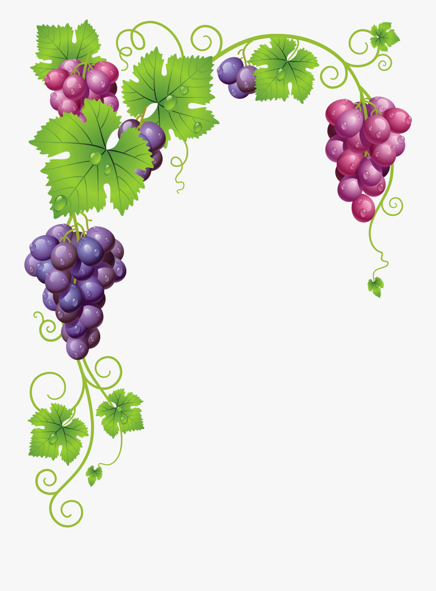 Transparent Grapes Png - Grapes Vector, Transparent Clipart