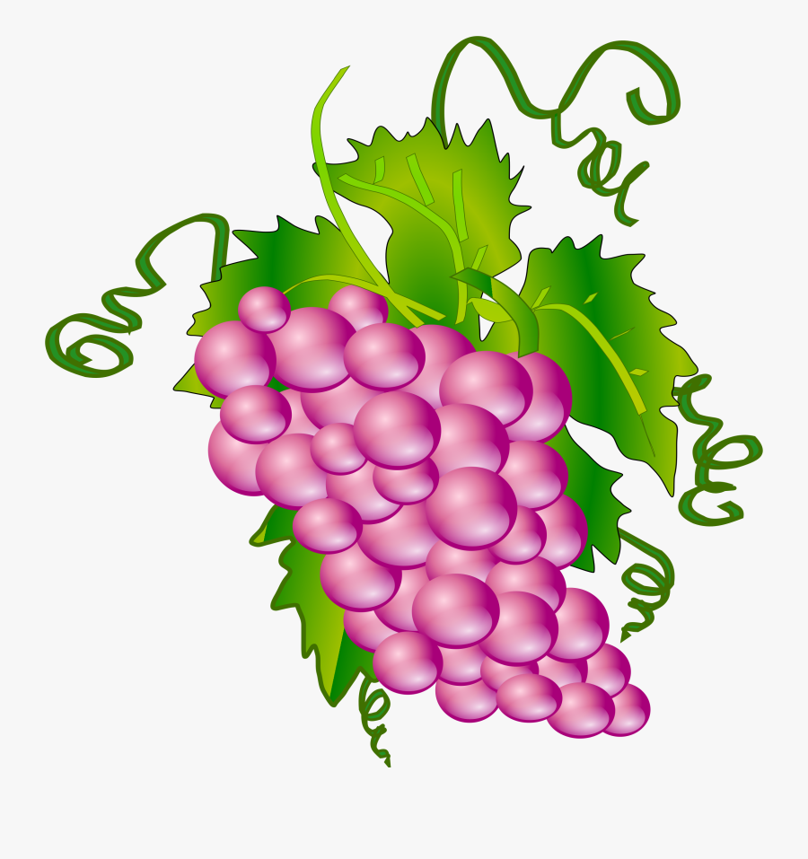 Wine Grapes Clipart - Communion Grapes, Transparent Clipart