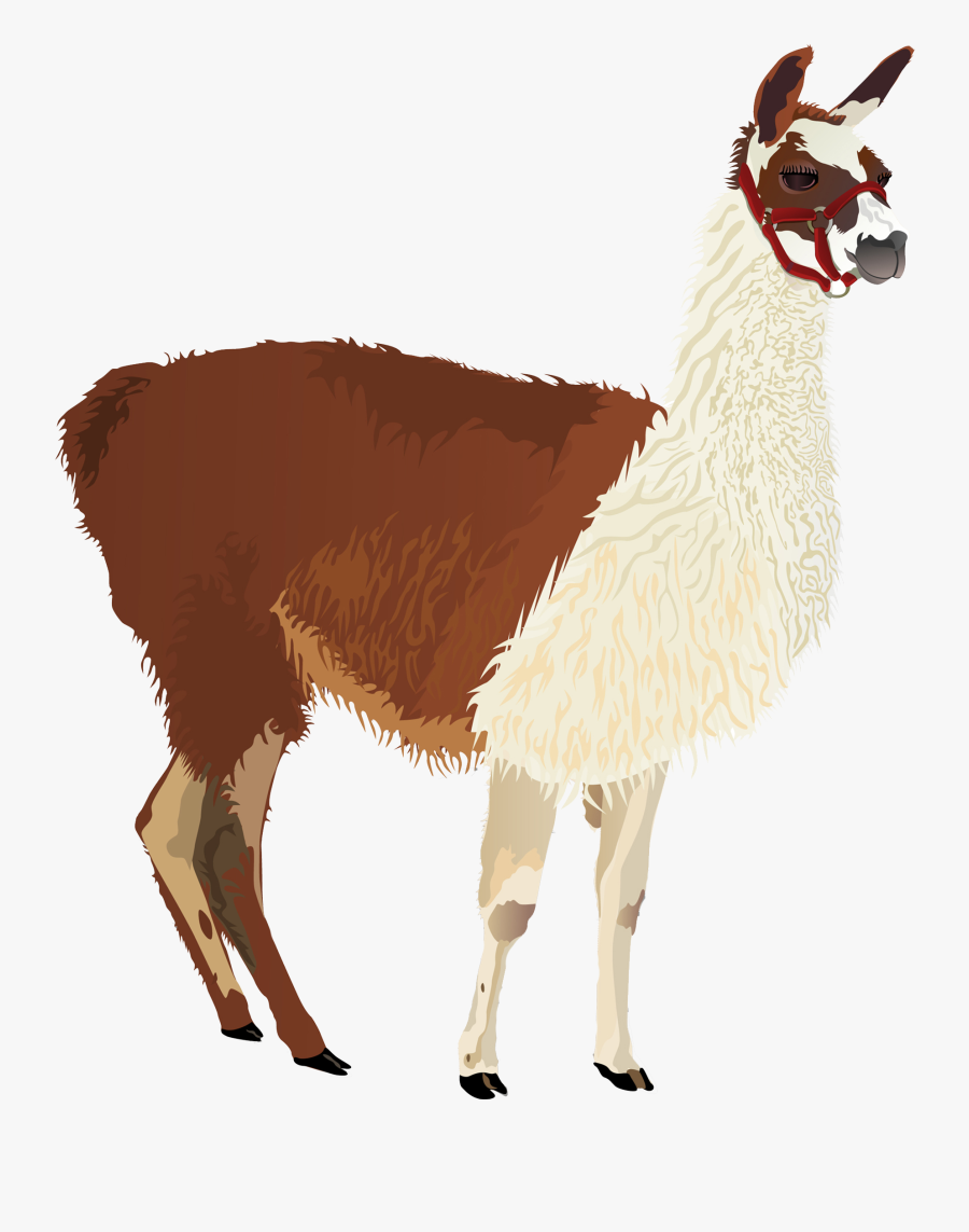 Clip Art Lite Lmf Mineralvitamin Supplement - Alpaca Png, Transparent Clipart