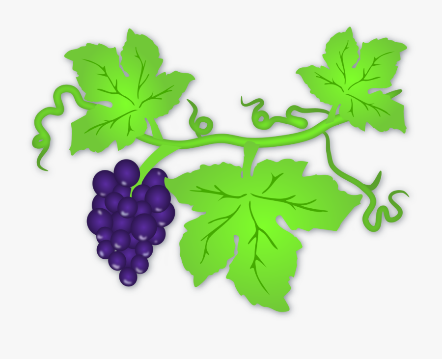 Clip Art Grapes Leaf, Transparent Clipart
