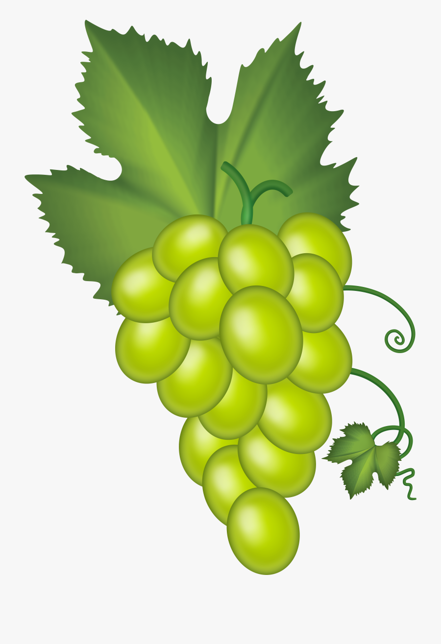 White Grape Cluster Png - Art Grape, Transparent Clipart