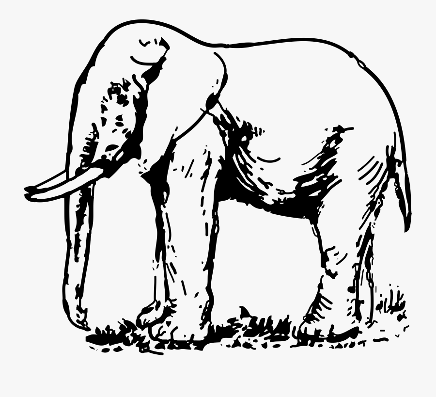 Elephant Drawing Clip Art - Elephant Image Black And White, Transparent Clipart