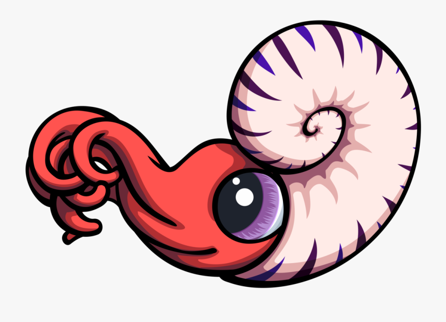 Ammonites Nautilidae Nautiloid Drawing Seashell - Ammonite Clipart, Transparent Clipart