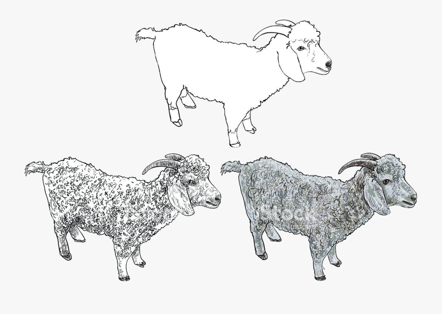 Goat Clipart Free Angora Stock Vector Art Mountain - Goat Vector, Transparent Clipart