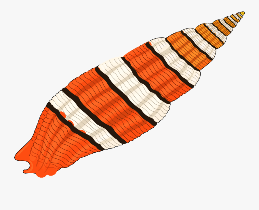 Seashell 01 Medium 600pixel Clipart, Vector Clip Art - Hd Clipart Images Of Shellfish, Transparent Clipart