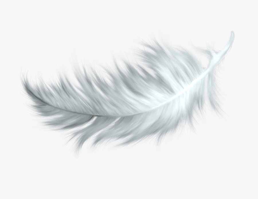 White Feather Transparent Png - Feather Falling Transparent Background, Transparent Clipart