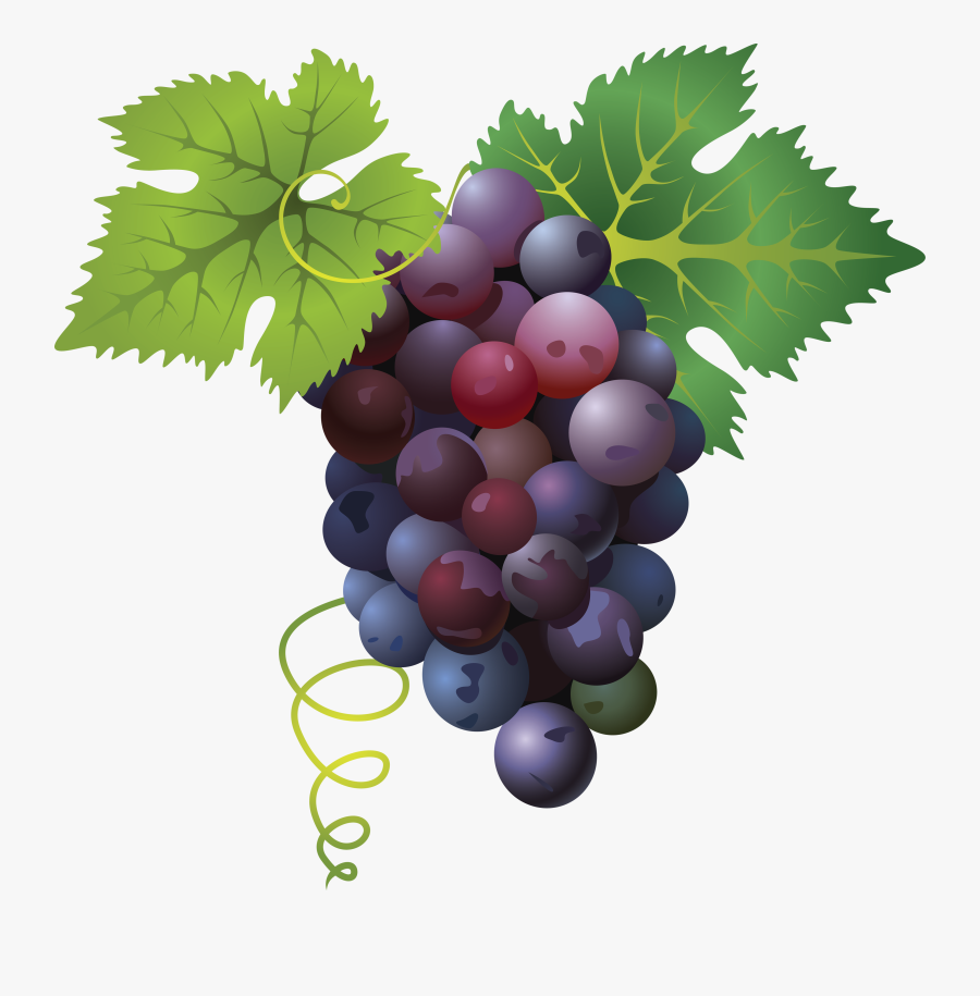 Grape Png Image - Grape Png, Transparent Clipart