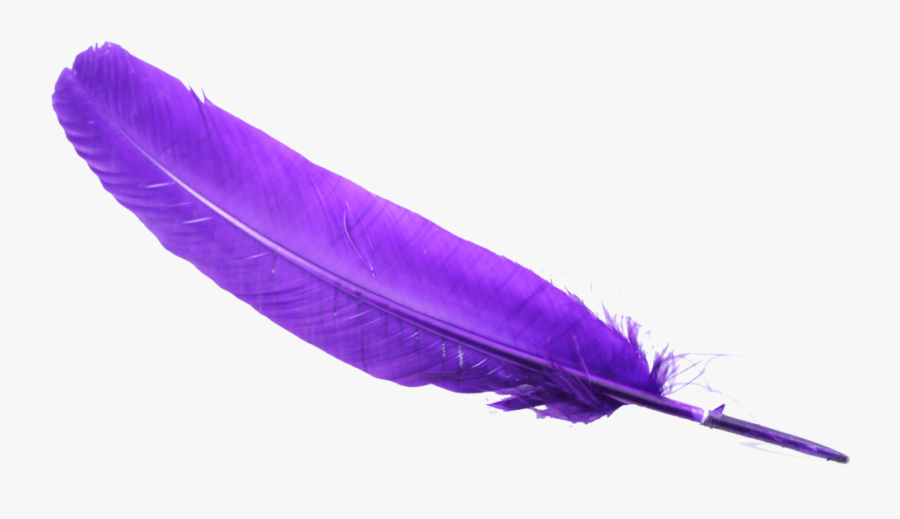 Feather Clipart To You - Transparent Background Feather Clip Art, Transparent Clipart