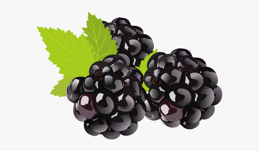 Grapes Clipart, Transparent Clipart