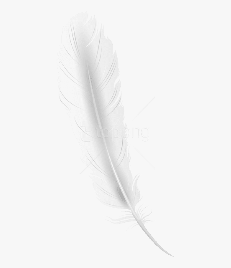 Feather Clipart Png - White Feather Png Transparent, Transparent Clipart