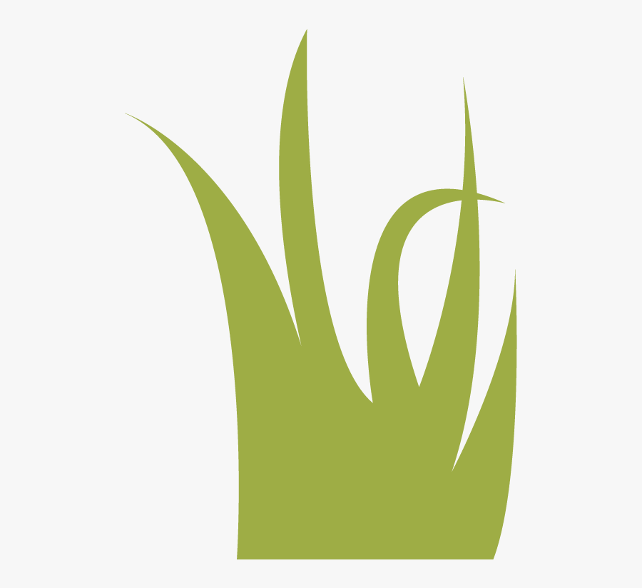 Clipart Mountain Lake Free Vector The Mountain Lake, Transparent Clipart