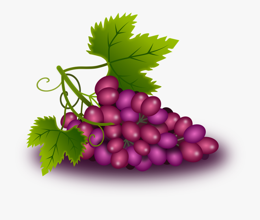 Grapes Vine Vineyard Image Pixabay - Uva E Trigo Png, Transparent Clipart
