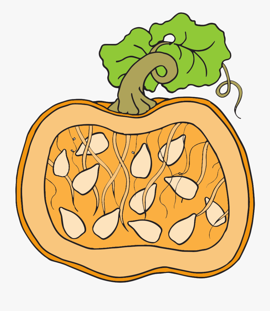 Clipart Science - Pumpkin Seeds Clipart Png, Transparent Clipart
