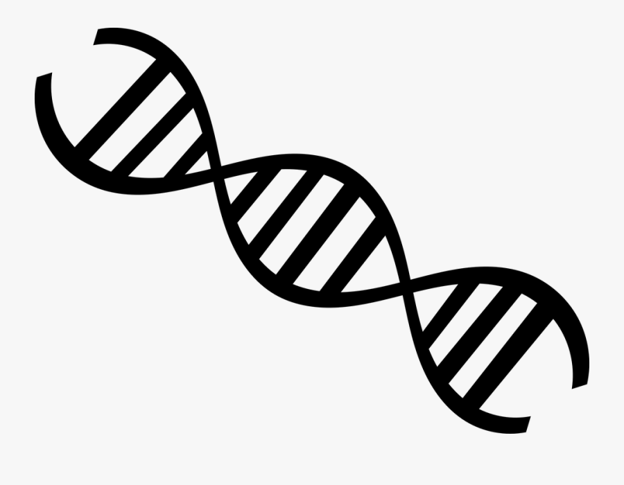 Dna Science Biology - Dna Image Black And White, Transparent Clipart