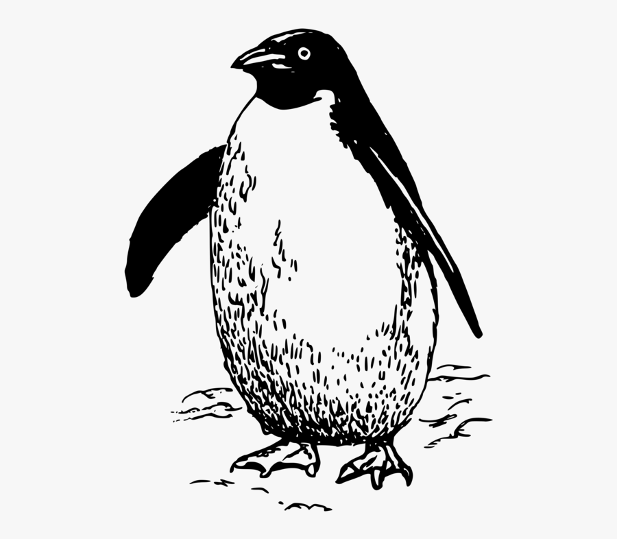 Flightless Bird,wildlife,line Art - Black And White Clipart Emperor Penguin, Transparent Clipart