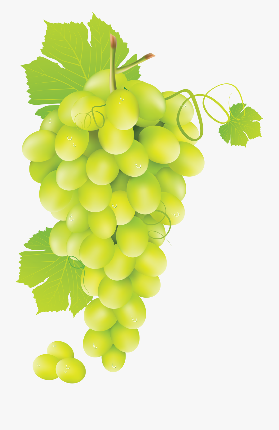 Grapes Clipart 10 Grape - Green Grape Png, Transparent Clipart
