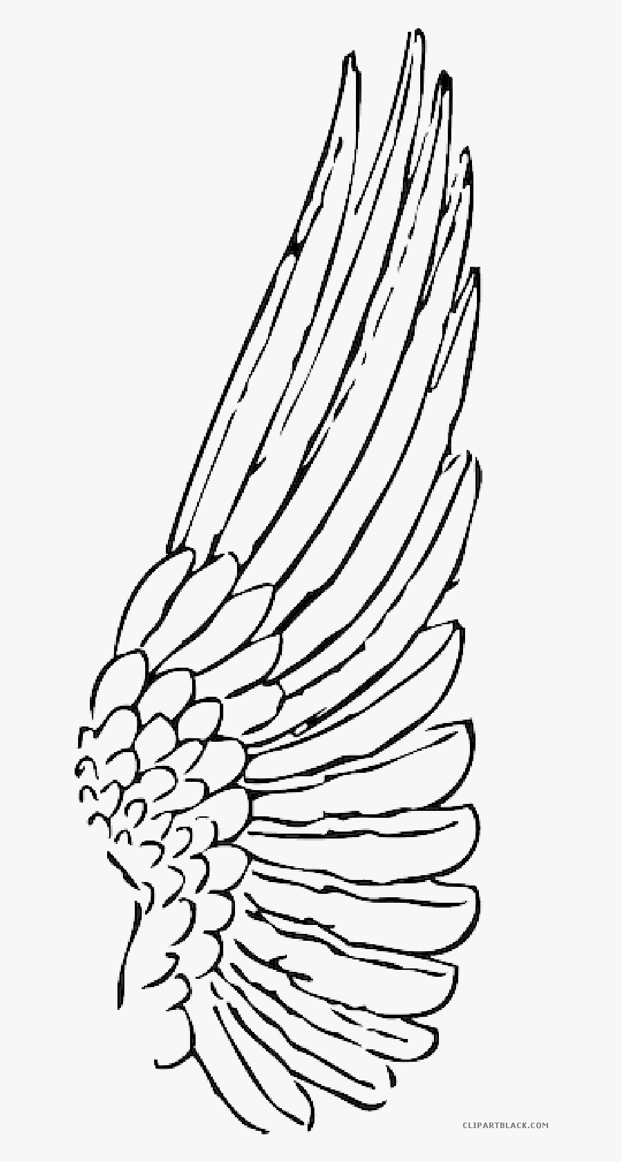 Transparent Indian Feather Png - Angel Wings Side View Drawing, Transparent Clipart