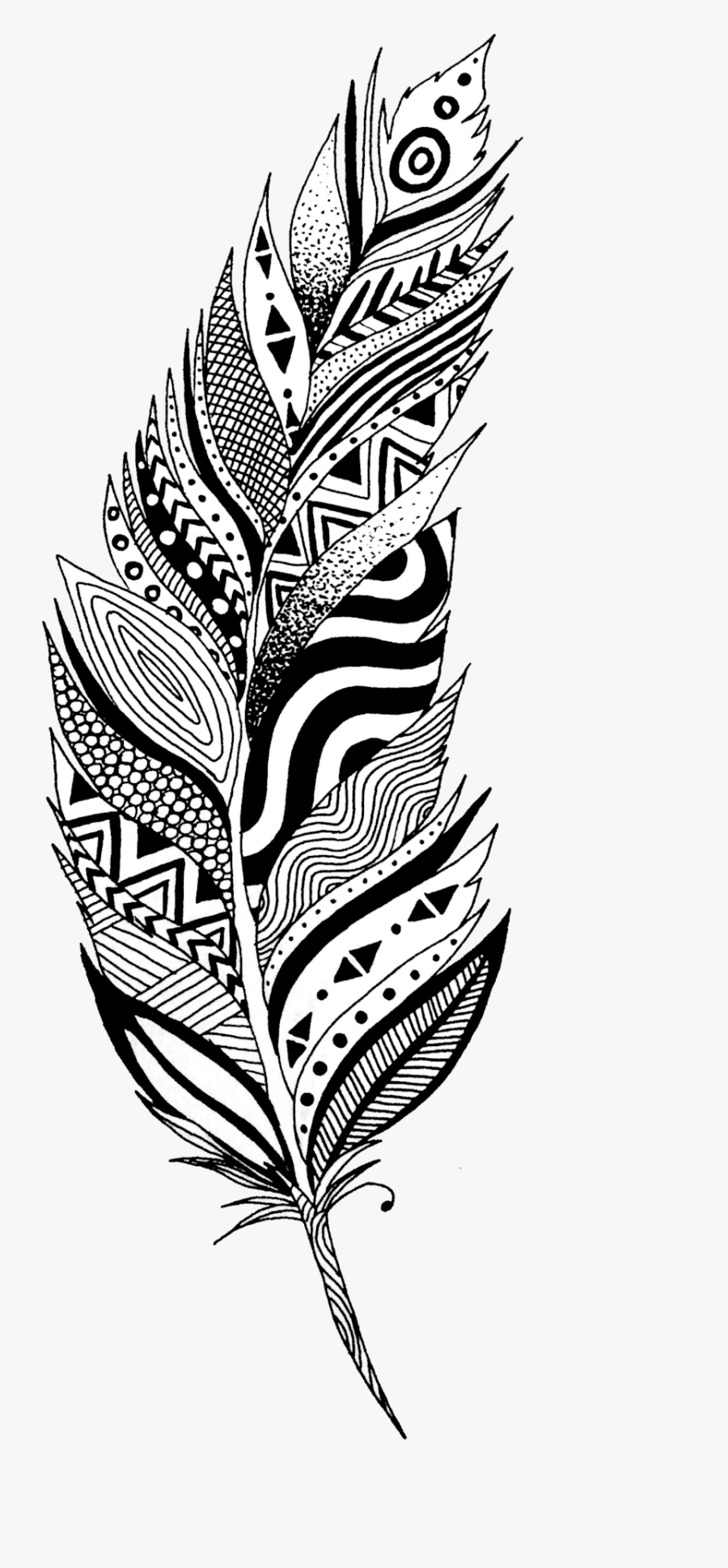 Feather By Lmushrimp-d915me5 - Black And White Feather Transparent, Transparent Clipart