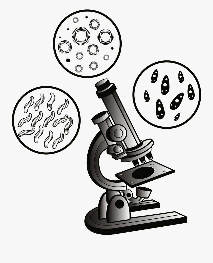 Microscope Clipart, Transparent Clipart