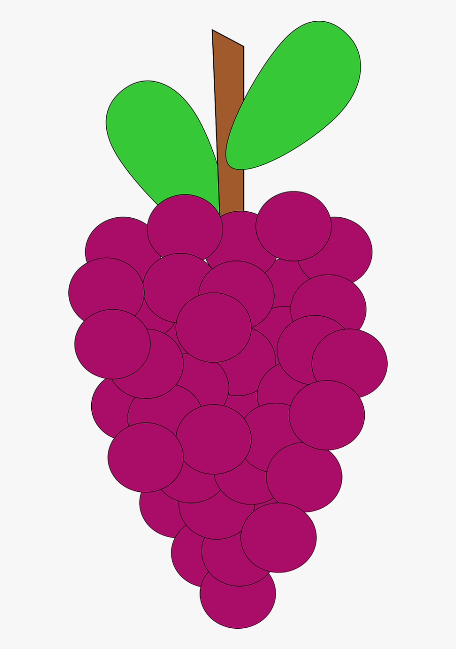 Grapes Clipart Grape Fruit Clip Art Downloadclipart - Grape Vine Cartoon, Transparent Clipart