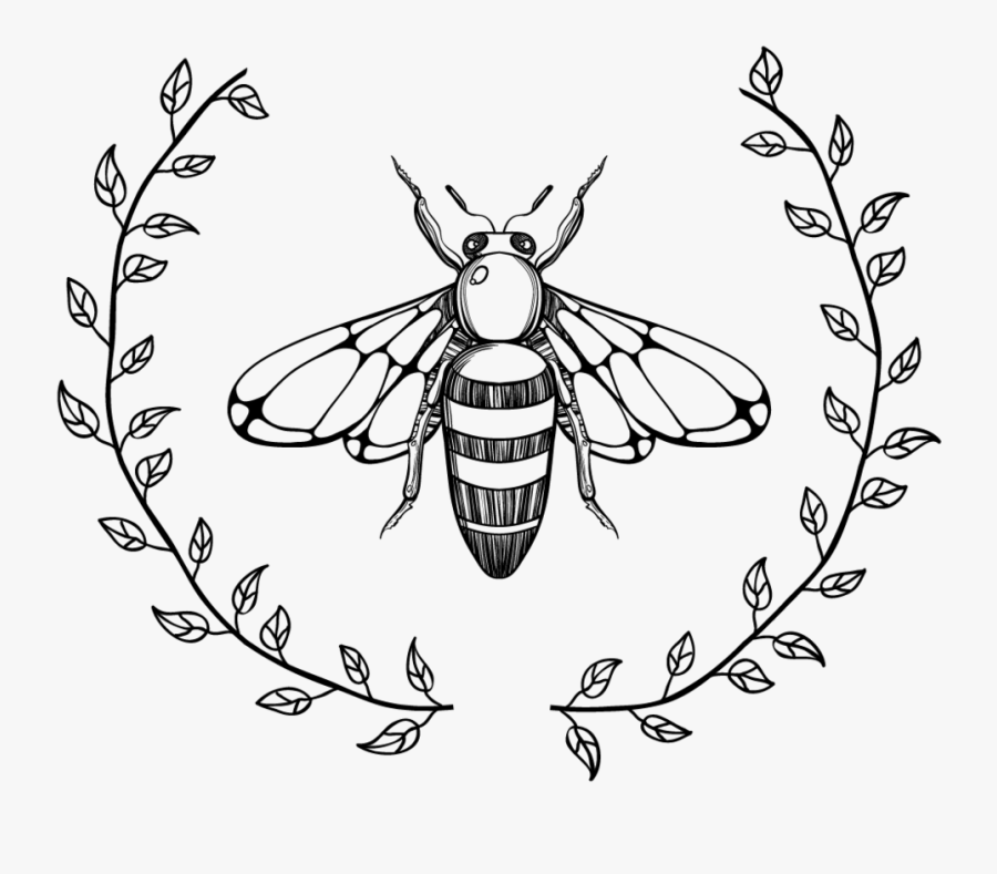 Clip Art Bee Line Drawing - Bee Line Drawing, Transparent Clipart