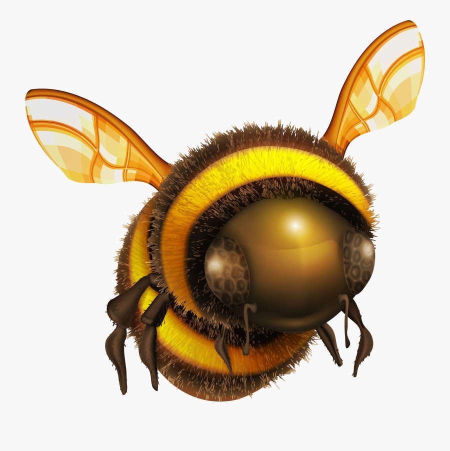 Bee Png Clip Art - Honey Bee Png Transparent, Transparent Clipart