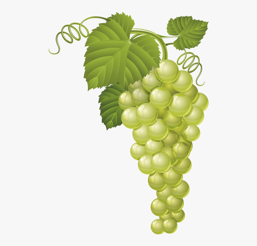 Grapes Clipart Common Fruit - Grapes Vector Free Download , Free ...