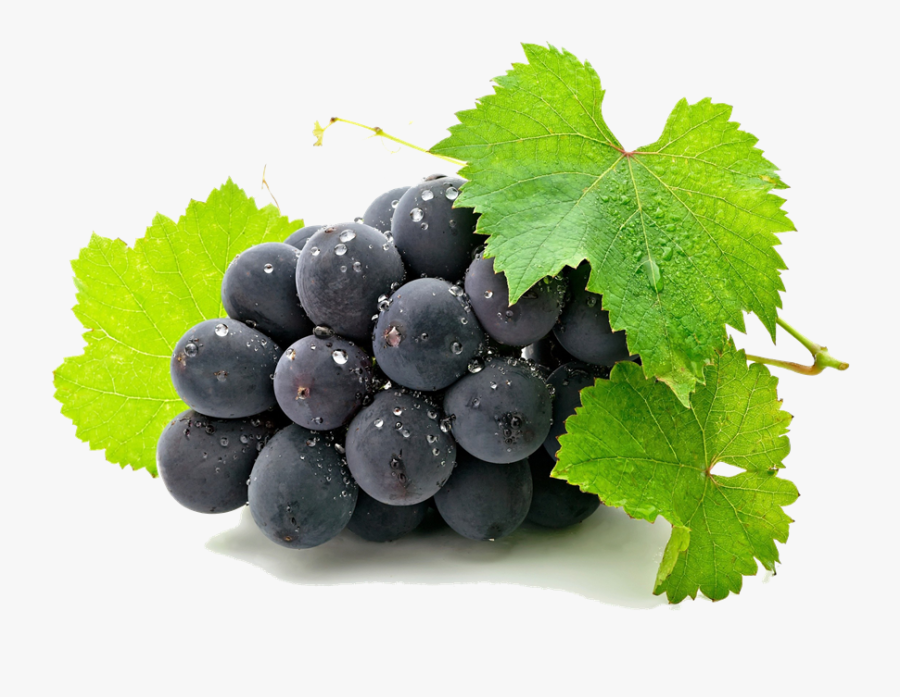 Pin Grape Clipart Art - Shiny Grapes, Transparent Clipart