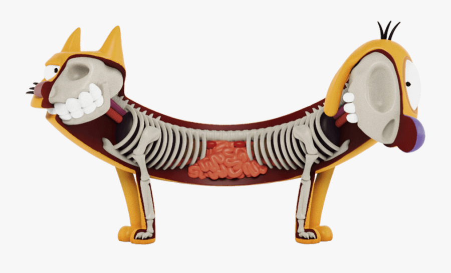 Cat Dog, Transparent Clipart