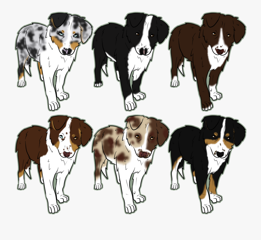 Australian Shepherd Clipart Australian Shepherd Herding - Australian Shepherd Drawing Step By Step, Transparent Clipart