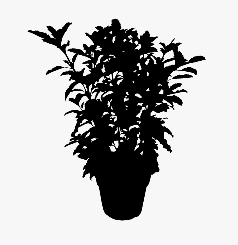 Plants Leaf Flowering Silhouette Plant Free Download - Transparent Plant Silhouette Png, Transparent Clipart
