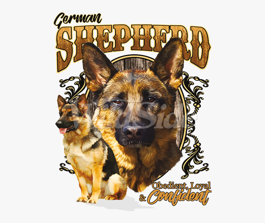 Hd King Free Unlimited - Old German Shepherd Dog, Transparent Clipart