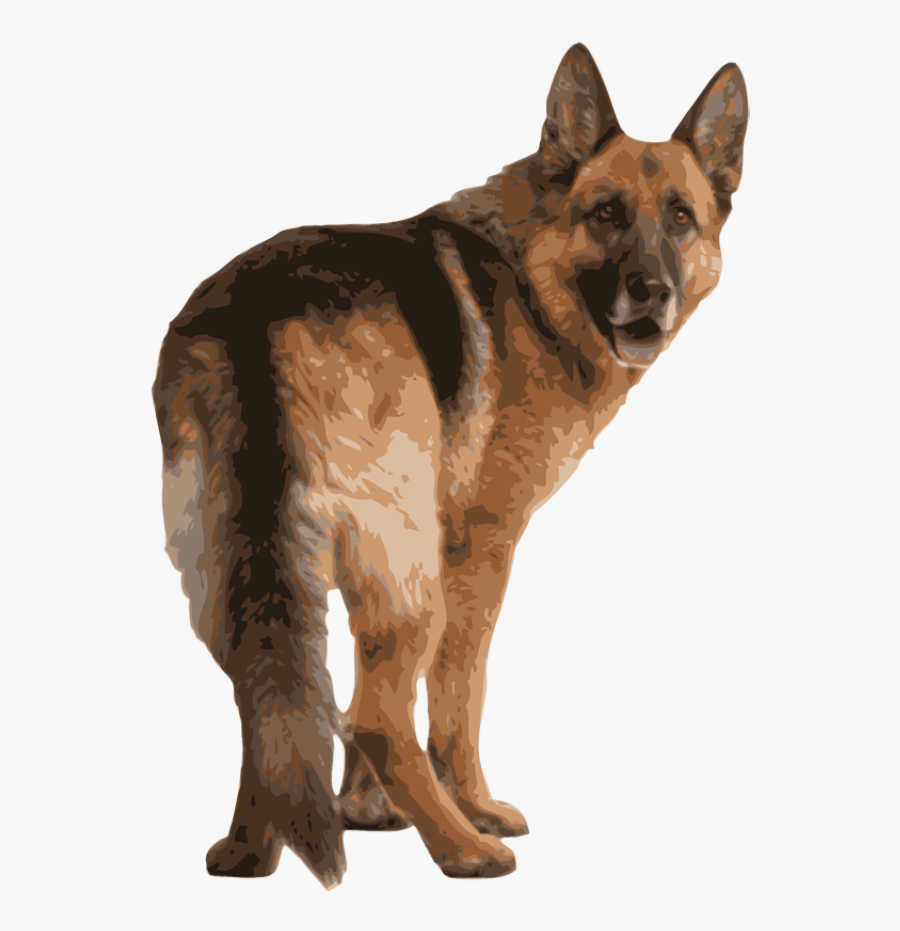 German Shepherd Free Clip Art Images Pictures Becuo - German Shepherd Back Side, Transparent Clipart