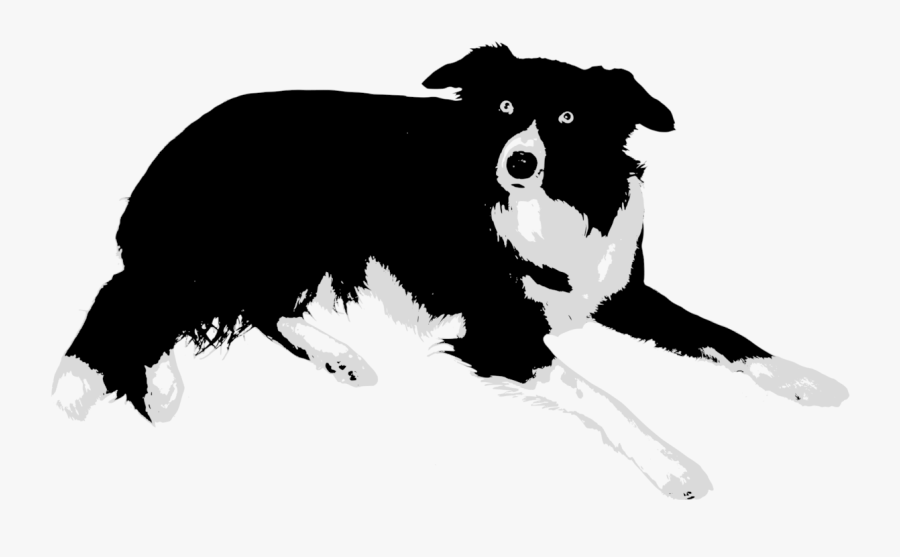 Companion Dog,monochrome Photography,carnivoran - Sheep Dog Clip Art, Transparent Clipart