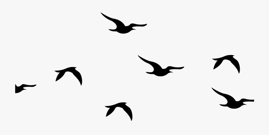 Flying Birds Silhouette Png Clipart , Png Download - Flying Birds Clip Art, Transparent Clipart