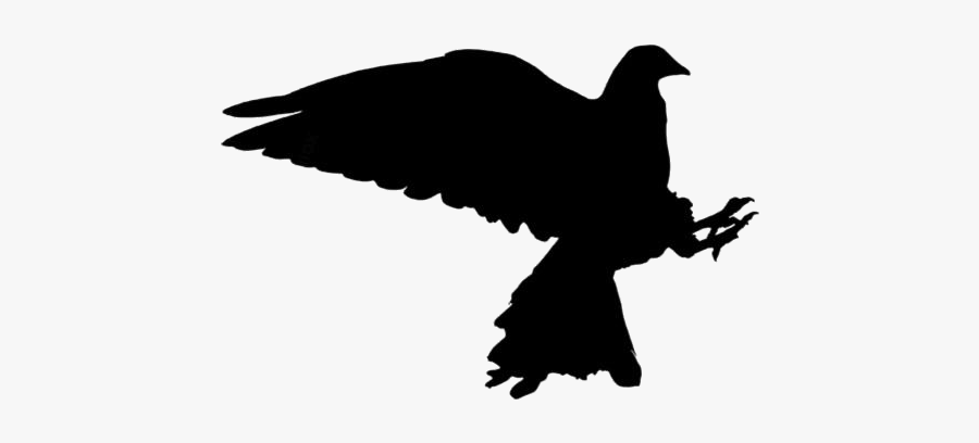 Bird Flying Away Png Clipart Download - Buzzard, Transparent Clipart