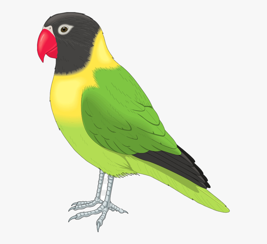 Bird Clip Art Flying Birds Clipart Free Transparent - Realistic Bird Clipart, Transparent Clipart