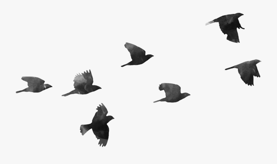 Bird Flight Bird Flight Clip Art - Birds Flying Cartoon Png, Transparent Clipart
