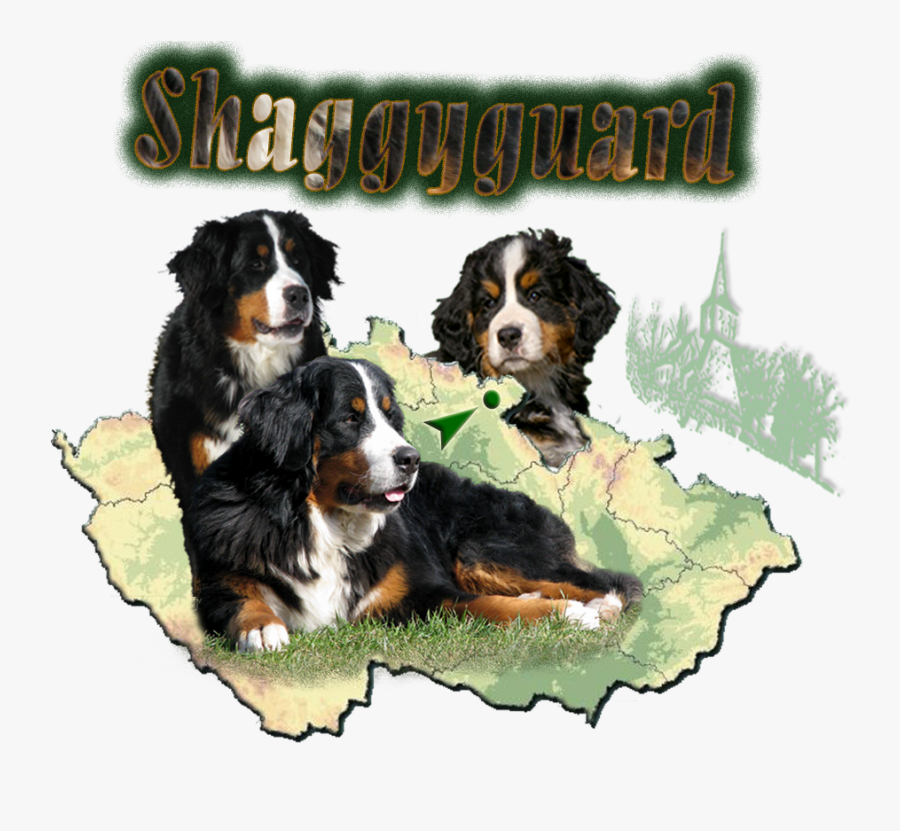 Bernese Mountain Dog, Transparent Clipart