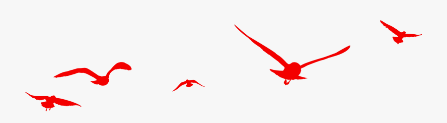 Red Birds Flying Png Download - Flying Red Bird Png, Transparent Clipart