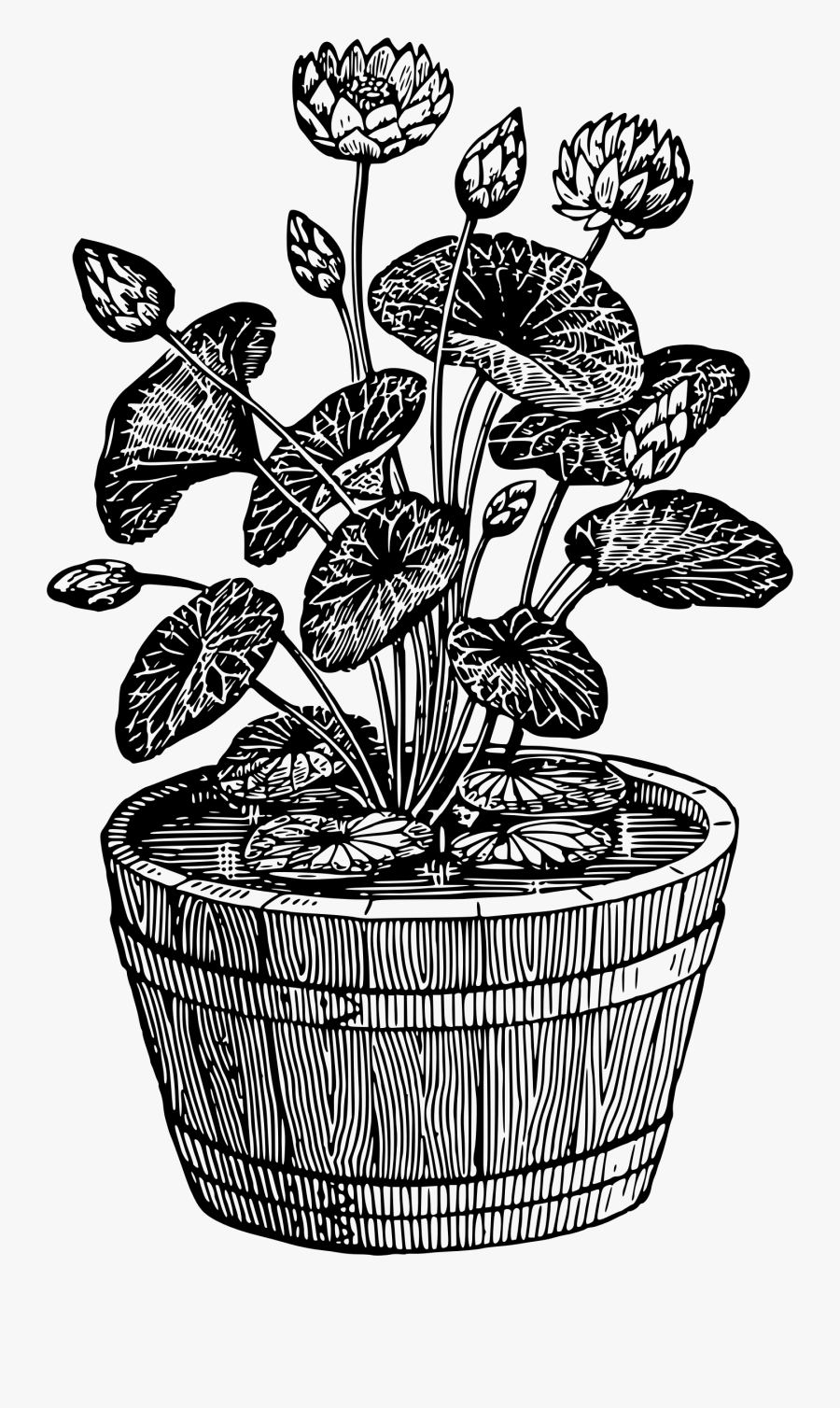 Thumb Image - Flower Pot Images Black And White, Transparent Clipart