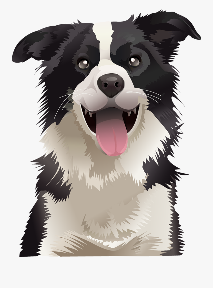 Border Collie Australian Shepherd German Shepherd Australian - Border Collie Cute Vector, Transparent Clipart