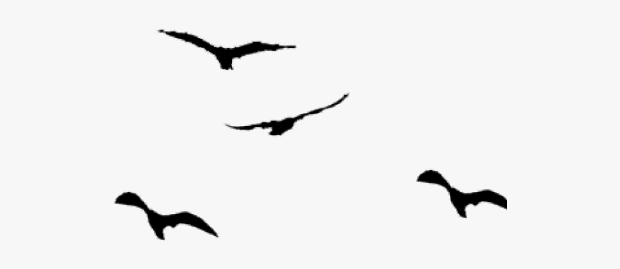 Birds Flying Clipart - Birds Flying Silhouette Png, Transparent Clipart