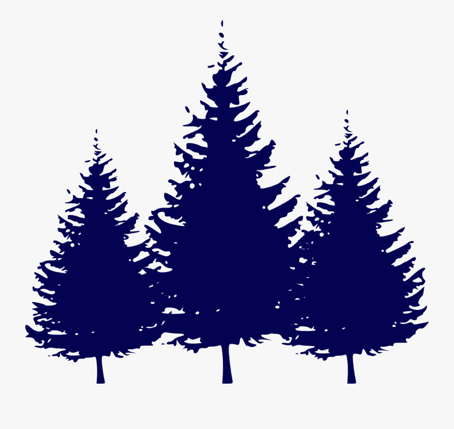 Fir Tree Clipart Conifer Tree Silhouette Evergreen Tree Png , Free