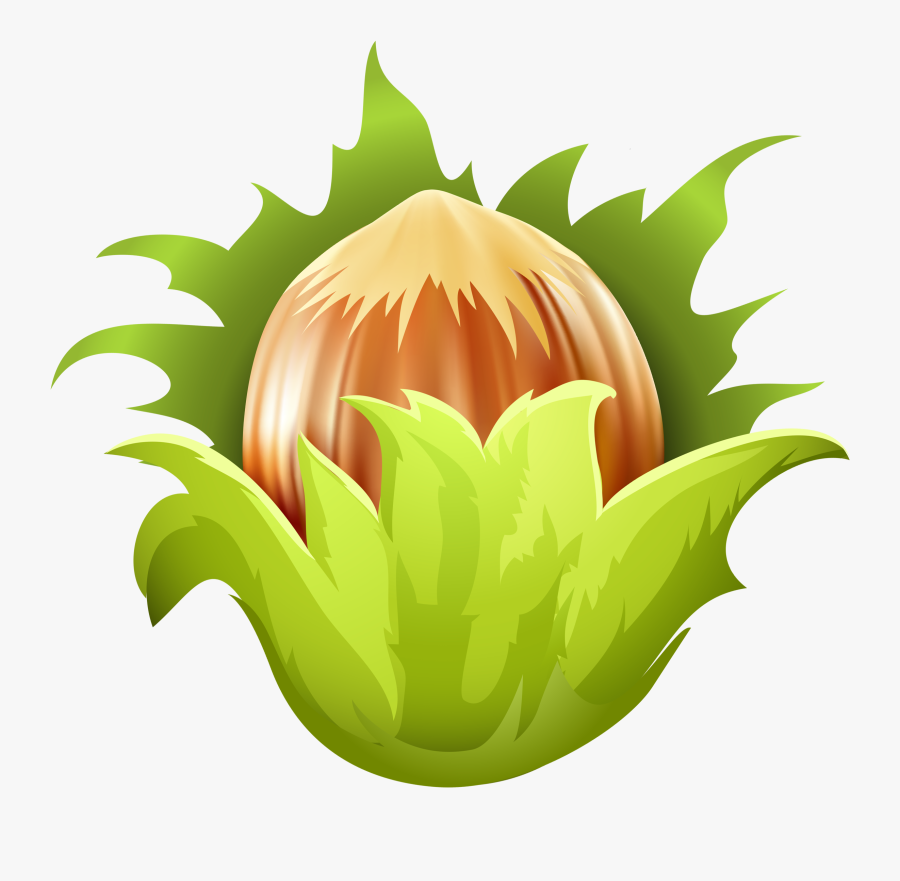 Chips Clipart - Hazelnut Clipart Png, Transparent Clipart