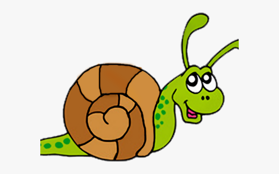 Platypus Clipart - Snail Clipart Png, Transparent Clipart