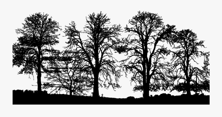 Forest Trees Silhouette Ecological Ecology - Forest Tree Silhouette Png, Transparent Clipart